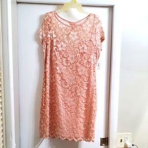 Blush Lace Dress with Stretch
